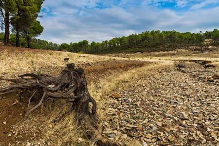 Canicule en Vaucluse : la biodiversité locale sous pression