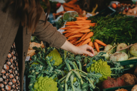 Terroir et Fraîcheur, découvrez 5 magasins de producteurs et marchés de paysans en Vaucluse
